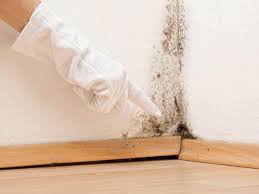 Best Commercial Mold Inspection  in West Orange, TX